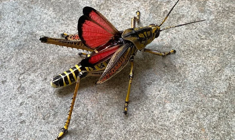 Kiedy matka dzwoni o świcie – Moja walka o miłość i własne życie