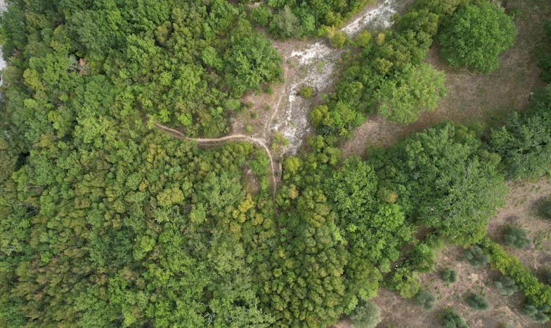 Kiedy miłość staje się klatką – Ucieczka z własnego domu