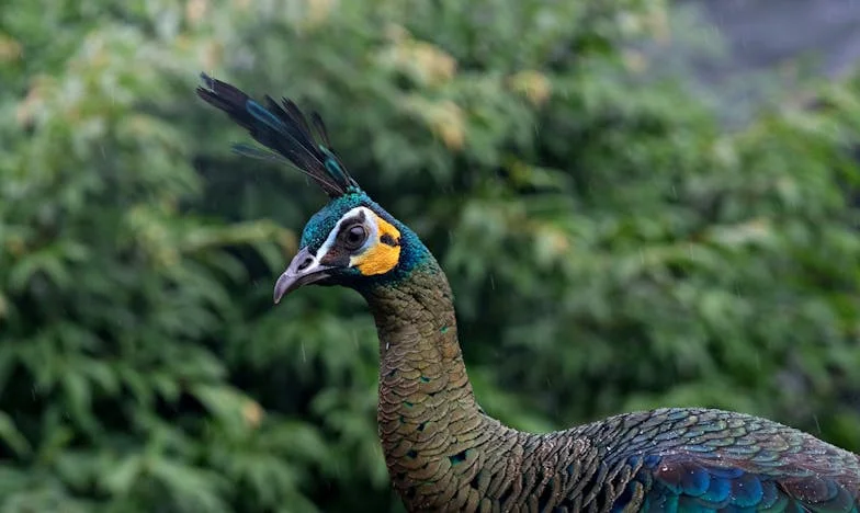 Kiedy własna rodzina cię zdradza: Wieczór, który zmienił wszystko