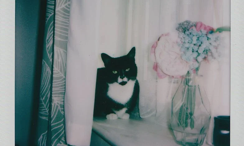 Matczyna Stronniczość: Gdy Miłość Nie Wystarcza – Moja Walka o Sprawiedliwość w Rodzinie