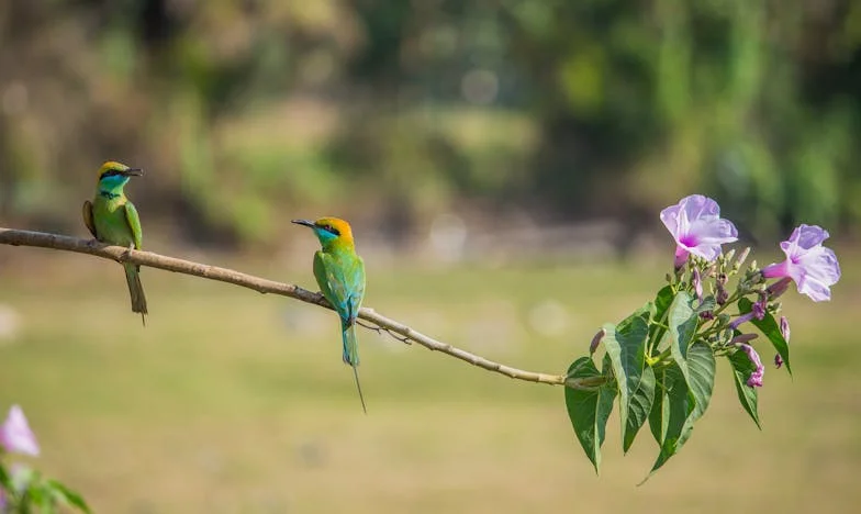 Między ciszą a krzykiem: Historia Magdy i jej rodziny