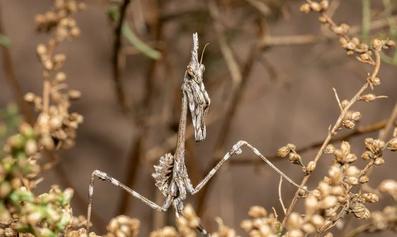 Między gniewem a miłością: Historia Kasi i jej matki