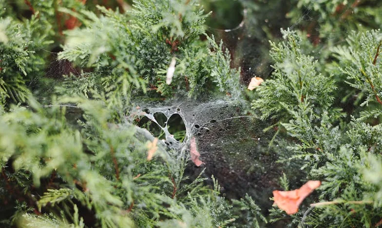 Między półką a marzeniami: Historia pewnej soboty w Warszawie