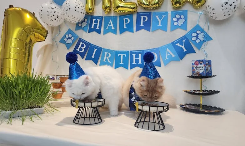 Między troską a bezsilnością: Historia Weroniki Marianny