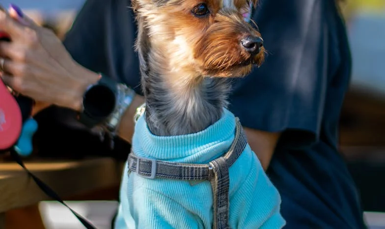 Moja córka mówi, że jestem toksyczna. Ale ja ją tylko kocham – historia matki z Warszawy