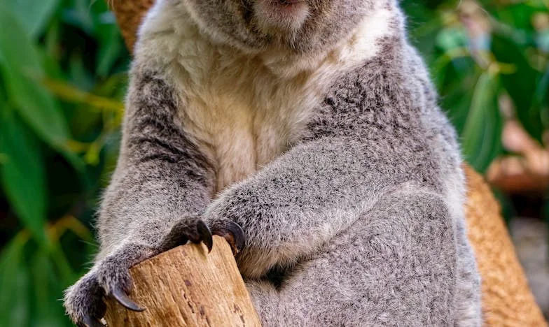 Moja Najlepsza Przyjaciółka Wyszła Za Mojego Byłego Męża i Zostawiła Mnie, Gdy Najbardziej Jej Potrzebowałam