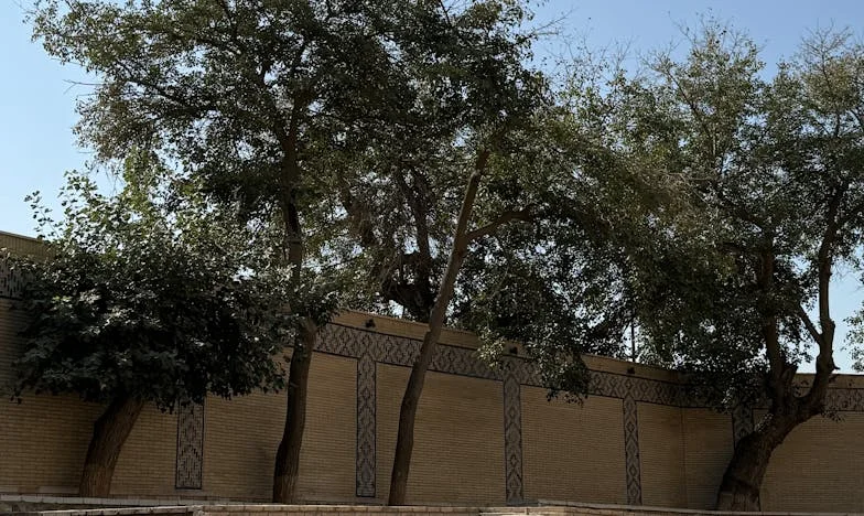 „Nie chcę, żeby mój zięć znów się wprowadził” – Wyznanie matki o rodzinnych granicach