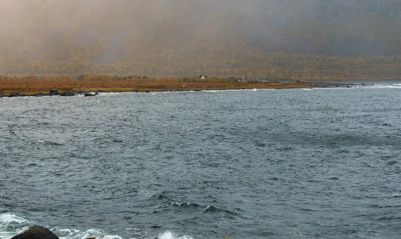 Nie zaproszono mnie na wesele jako „obcą”, ale gdy pojawiła się kwestia mojego mieszkania, nagle stałam się „bliską”. Prawdziwa historia polskiej rodziny.