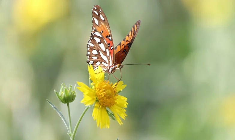 Nieproszony gość, czyli jak straciłam cierpliwość do własnej rodziny i sąsiadów
