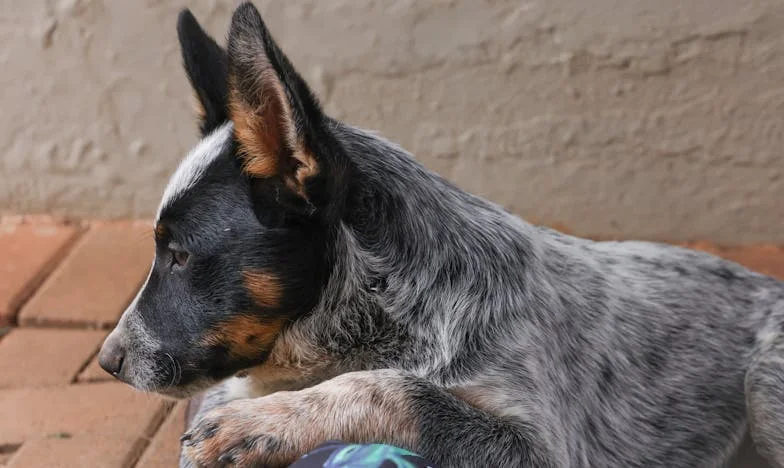 Pod skórą: Dlaczego mój mąż mnie okłamał? Odkrycie, które rozdarło nasze małżeństwo
