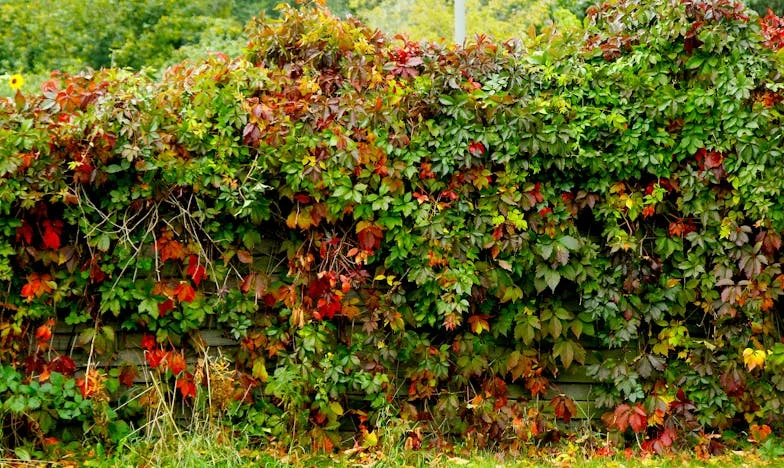 "Potrzebuję przestrzeni, mamo!" – O tym, jak odbudowałam dom, którego nigdy nie miałam