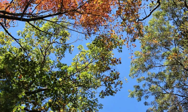 Serce od nowa: Historia Magdy z warszawskiego blokowiska