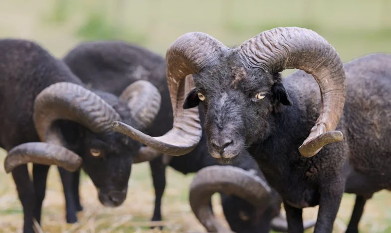 Skradzione życie, ale on znów ją ocalił…