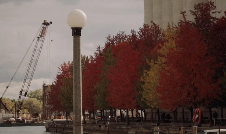 Skrzywdziłaś brata, nie masz sumienia – Historia o rodzinnych tajemnicach i zdradzie