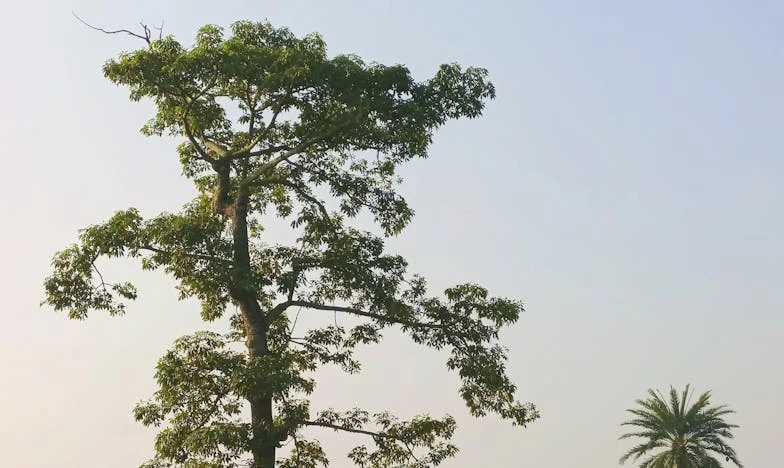 Smycz nieporozumień: Smuga Niezgody w rodzinie Kowalskich