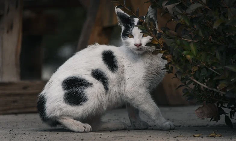 Wakacje, których nie zapomnę: Między Trójmiastem a rodziną