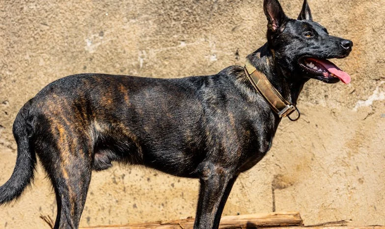 Wiara w burzach: Jak odnaleźliśmy siłę, gdy wszystko się zawaliło