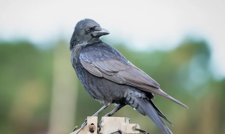 Zapach świeżego chleba i gorycz przemilczanych słów – historia Magdy z warszawskiej kuchni