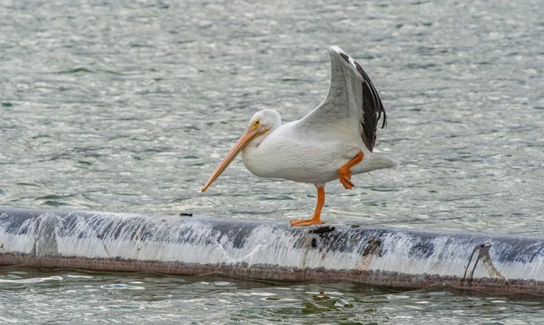 Zimny chleb, gorące łzy – historia Magdaleny z Pruszkowa