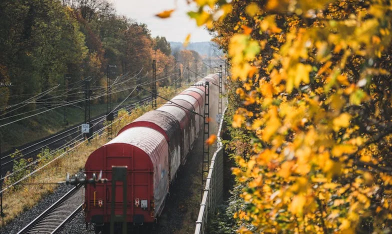 „Babciu, dam Ci szczeniaka, żebyś nie była taka samotna po dziadku” – prezent Natana, który rozdarł naszą rodzinę na strzępy
