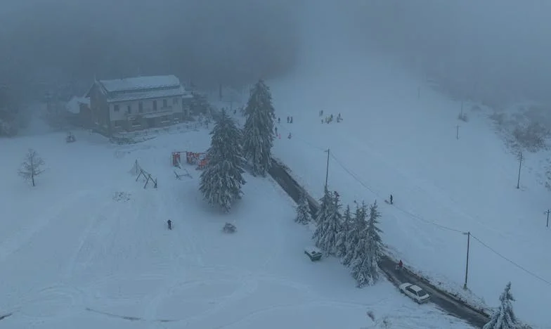 Baran, Koza, Pies – czyli jak przeżyć z Małgosią