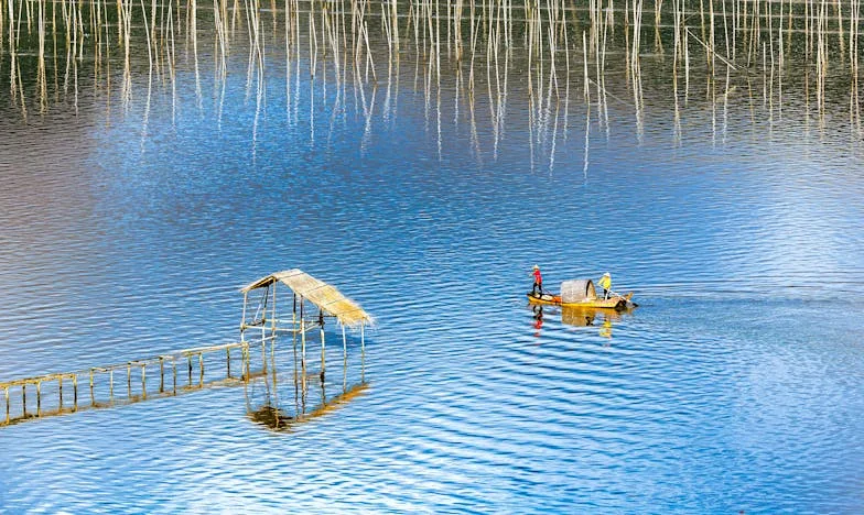 Bitwa o mieszkanie: walka o przyszłość – historia z polskiego blokowiska