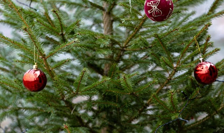 Dziedzictwo nad morzem: Kiedy rodzina staje się polem bitwy o spadek po babci