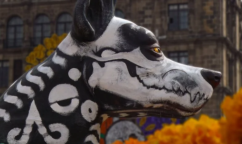 Echo niewypowiedzianych ostrzeżeń: Historia Marii, jej syna Michała i synowej Lucyny