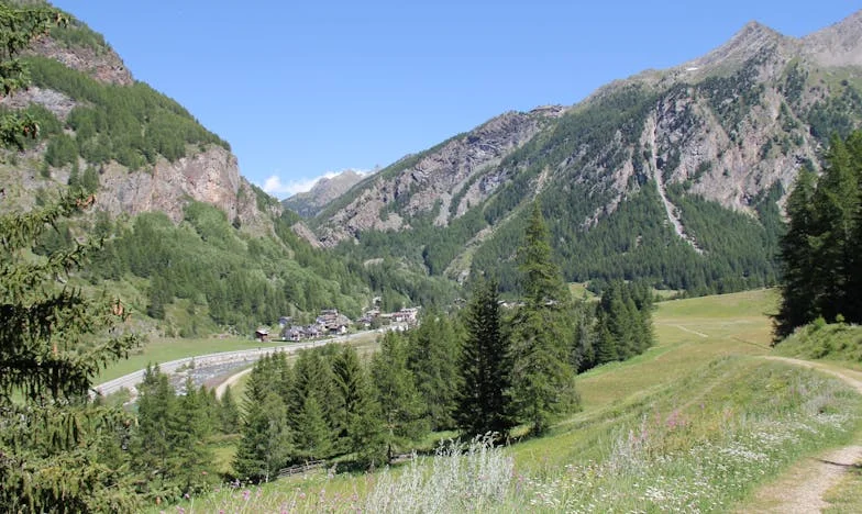 Granice matczynej miłości: Moja walka o dorosłego syna w warszawskim blokowisku