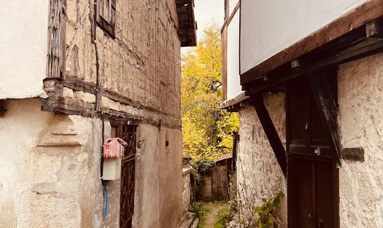 Kiedy miłość do wnuków staje się ciężarem – historia Marii i jej buntu