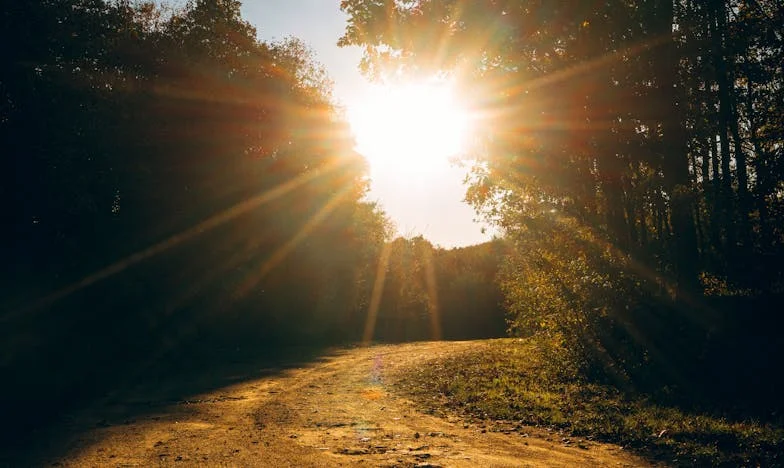 Kiedy przeszłość wraca: Opowieść o przebaczeniu i rodzinnych tajemnicach