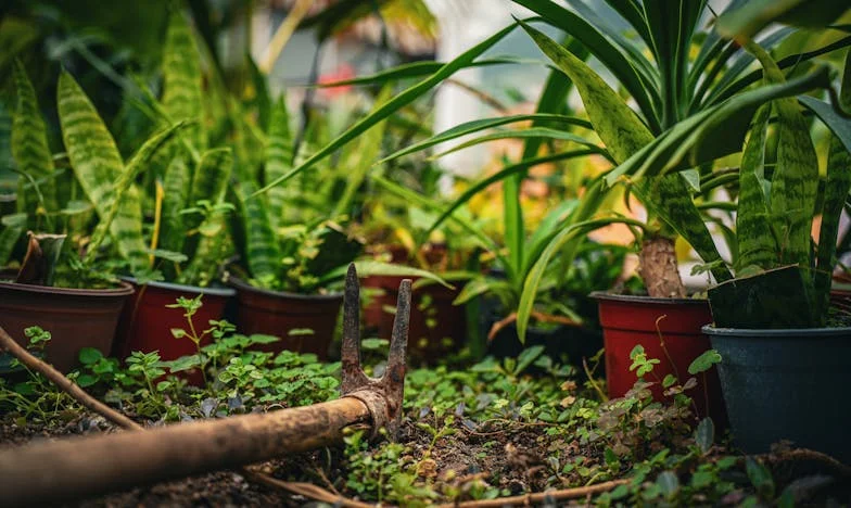 Koszt jednej tajemnicy: Jak Witek o mało nie stracił żony