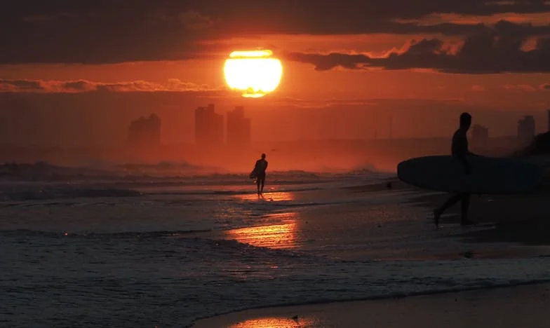 Lato w piwnicy: Historia o rodzinnych tajemnicach i samotności