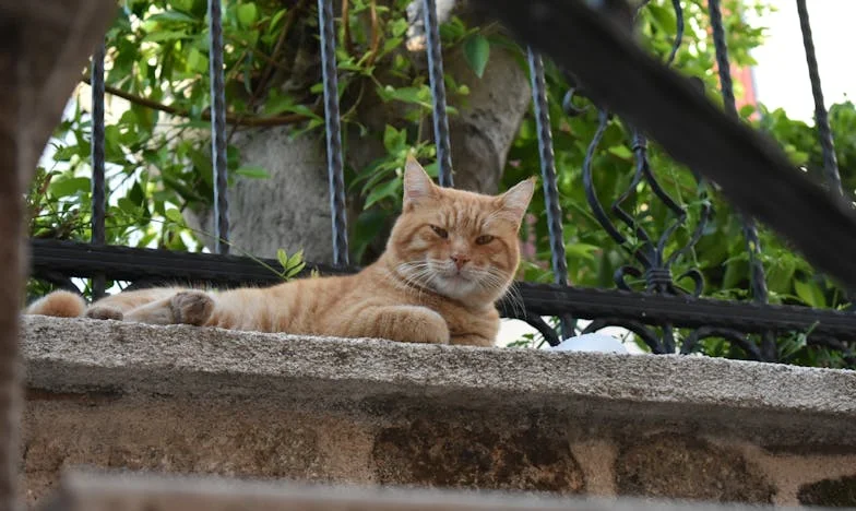 Matka, która nie pozwala mi oddychać – historia o miłości, kontroli i ucieczce