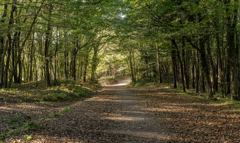 Między dwoma domami: Jak zostałam rozdarta między córką a własnym życiem