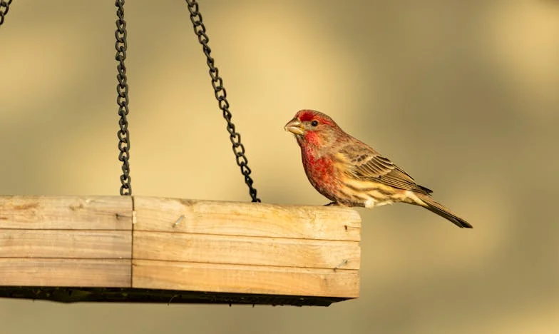 Miłość wbrew wszystkiemu: Jak zakochałam się w mężczyźnie starszym o 25 lat i zapłaciłam za to wysoką cenę