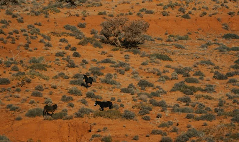 Nie potrafiłam pokochać – historia z warszawskiego blokowiska