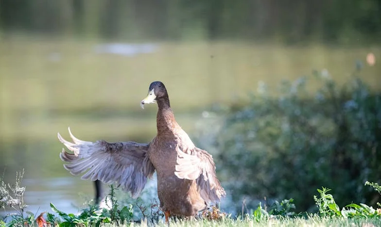 Niewidzialne napięcia: Kiedy rodzinne wizyty zamieniają się w pole bitwy – Moja walka o spokój i zrozumienie
