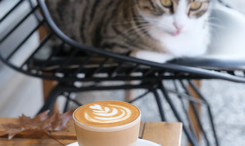 Nigdy nie byłam wystarczająco dobra dla Marka: Prawda o miłości i społecznych różnicach