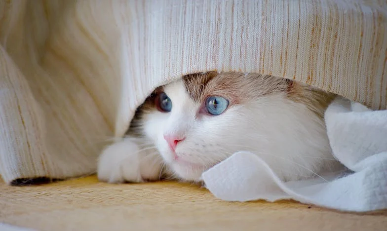 Odłamki, których nie da się poskładać – historia Magdy z Białegostoku