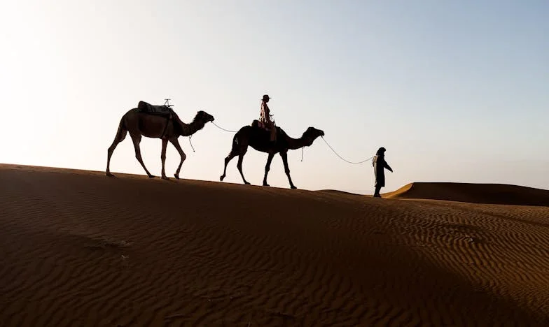 Przeszkoda na drodze do szczęścia: Opowieść o rodzinnych ranach, które nie chcą się zabliźnić
