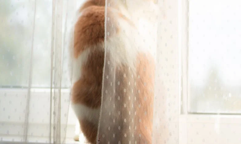 Przyniosłaś nieszczęście na naszą rodzinę – historia o winie, tęsknocie i przebaczeniu