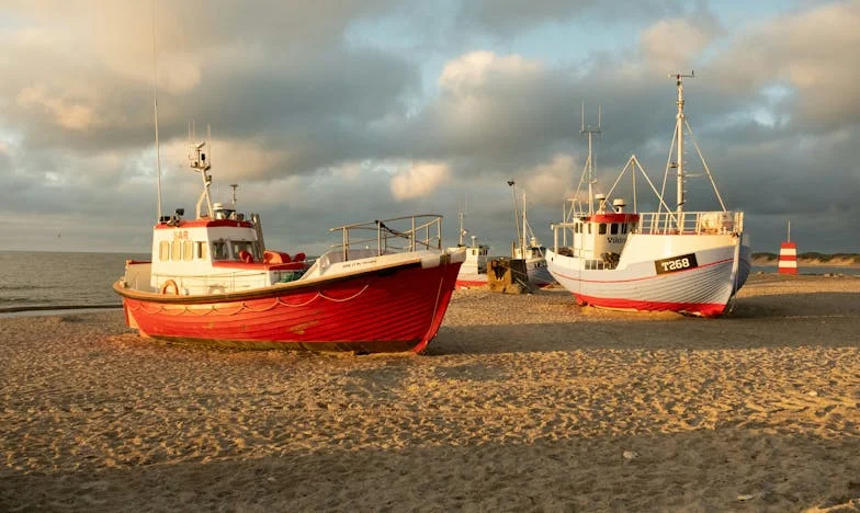 Tam, gdzie kiedyś był dom – powrót Weroniki do rodzinnej wsi