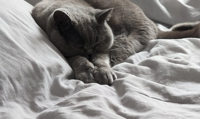 Tamtej nocy, kiedy wyrzuciłam syna i synową z domu – granica, której nie mogłam przekroczyć