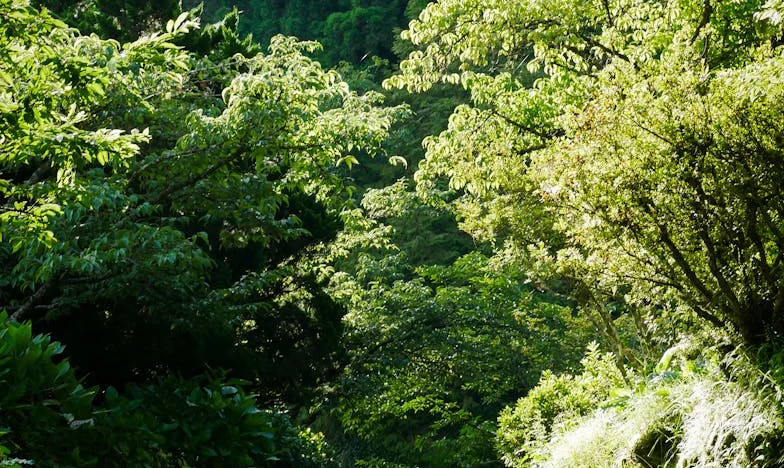 „To ja złożyłam pozew o rozwód. Chcę wreszcie żyć po swojemu.” – Historia Marii z Krakowa