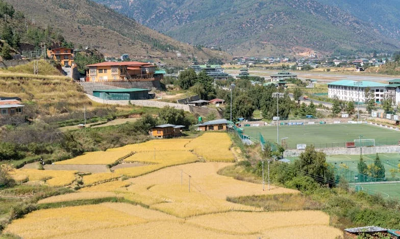 W cieniu matki: Moje życie z mężem, który nigdy nie dorósł