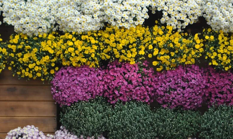 Zaproponowałam bratu wspólny prezent dla mamy. Jego odpowiedź rozbiła naszą rodzinę na kawałki…