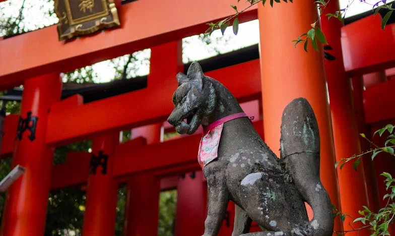 Zwyczajne Cudo: Historia Kaliny i Leszka