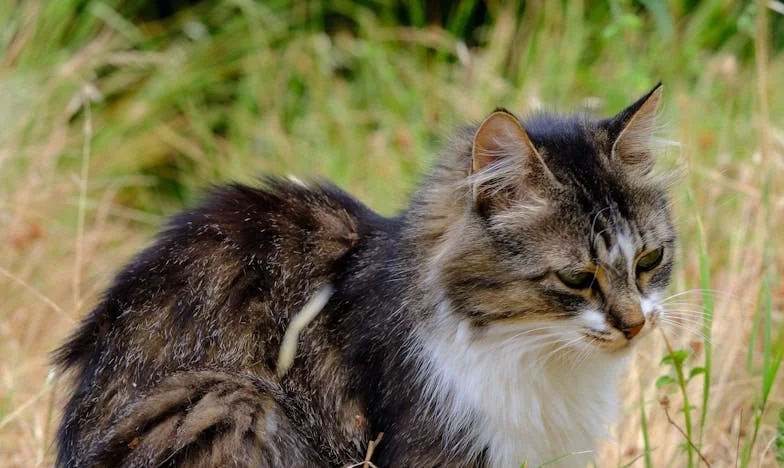 Życie w cieniu tyrana – Historia polskiej rodziny, która rozpadła się przez toksycznego teścia