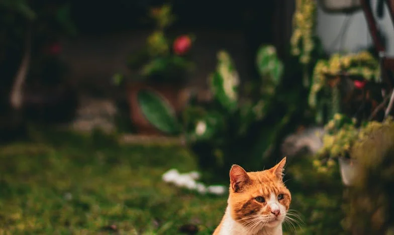 Chciałam dobrze wyjść na swoje – historia o rodzinie, sąsiadach i samotności w polskiej rzeczywistości
